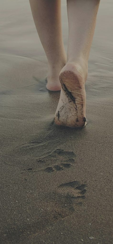 footprint